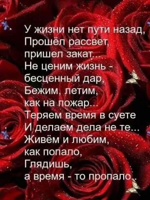 c83ed515e19ddc4bd837d