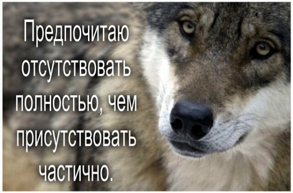 Предпочитаю