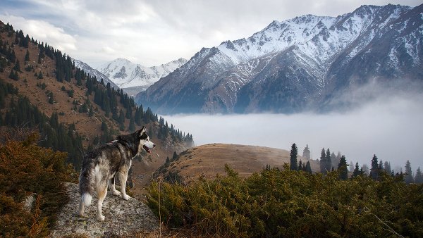 Красоты родной природы 6 14