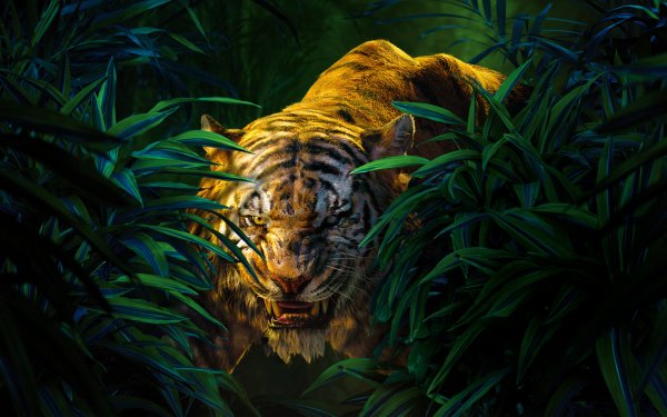 Movies Tiger Sher Khan film The Jungle Book 2016 112244