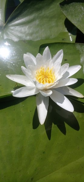 IMG 20220813 125650 1