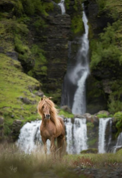 file_90466553