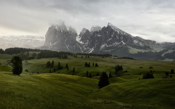 Mix336 2560x1600(260)