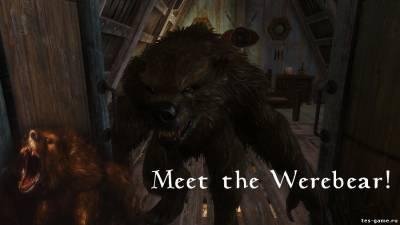 Werbear (1)