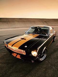 X2 Mustang Orange New 2012