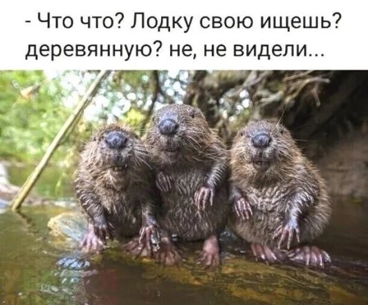 file_103335427
