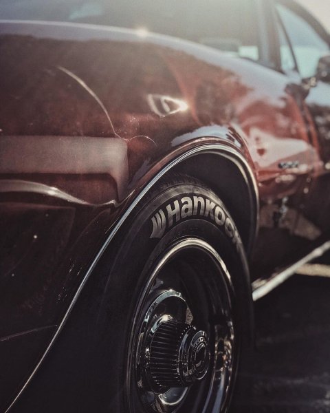 bB