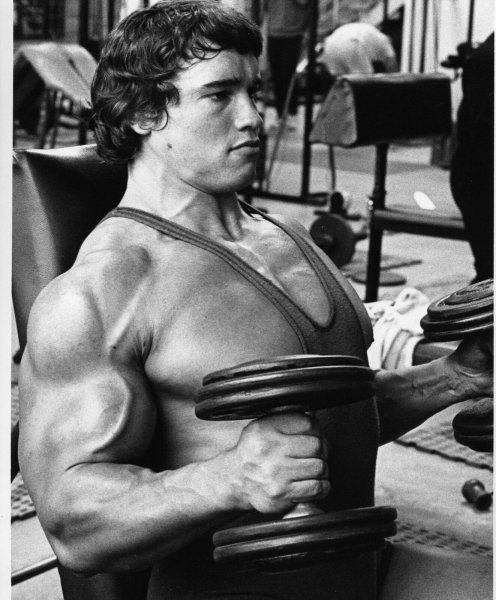 Arnold-Schwarzenegger-Iconic-Original-8X10-BW-Print 14