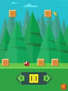birdy run