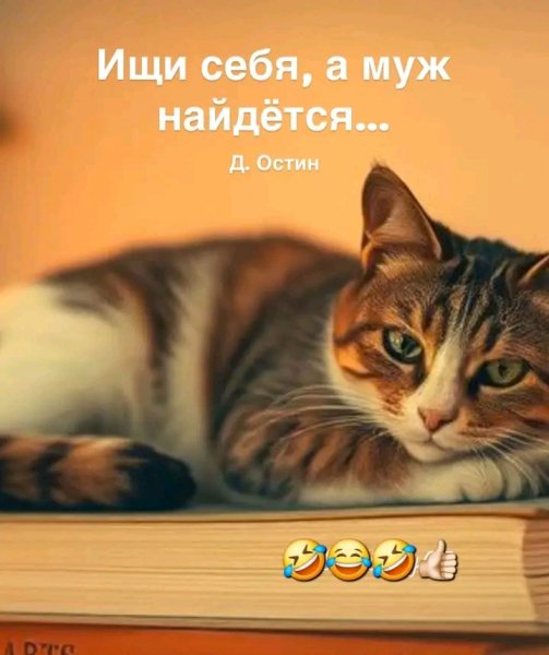 file_103322025