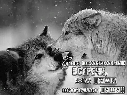 Незабываемые встречи