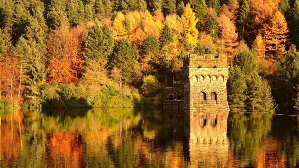 4в (1574) (Copy) (Copy)