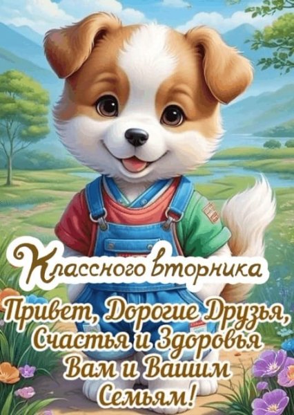 IMG-20240826-WA0025