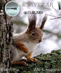 belka 204