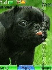 cute-puppies-03