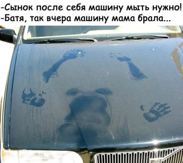 file_103311868
