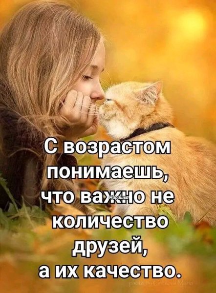 file_100725697