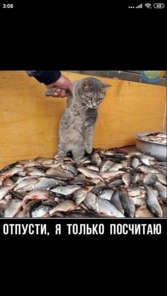 FB IMG 1773322122284