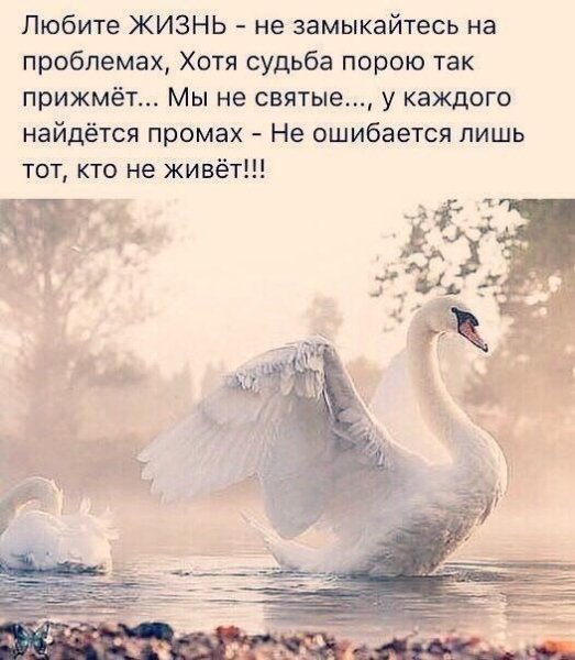 Любите жизнь