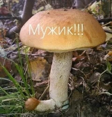 Мужик