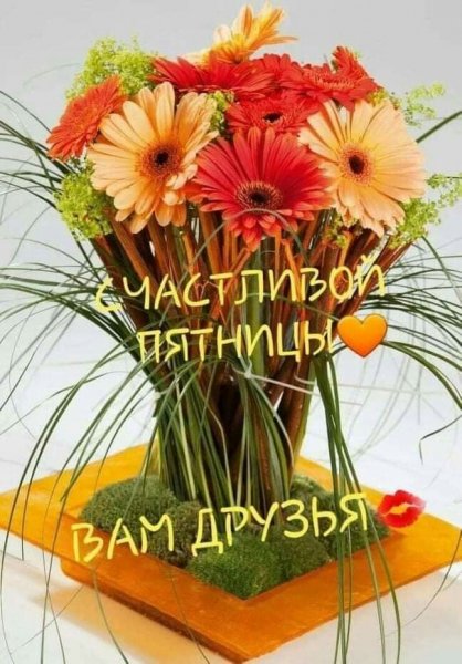 file_93051560