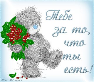 ka4ka ru