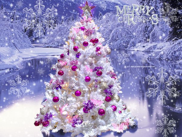 28a0738ce92939a70c31ccdc6anx