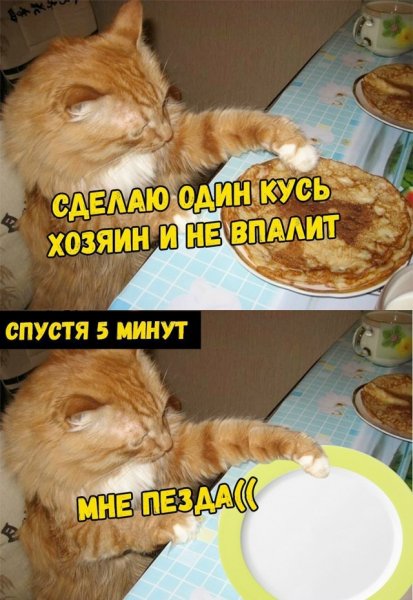 file_103307693
