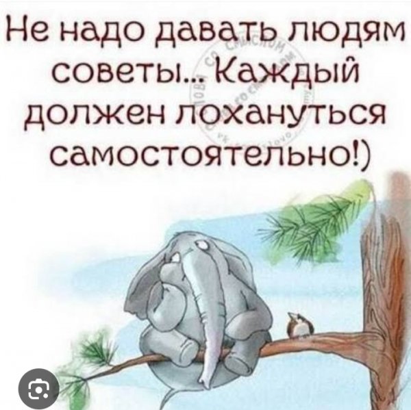 IMG 20260312 114743