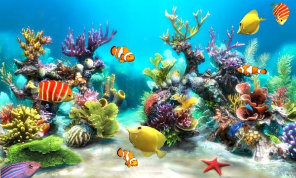 Sim Aquarium Live Wallpaper - v.1.0.15 LWP