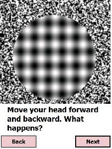 optical-illusions v10