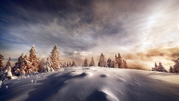 file_95095694