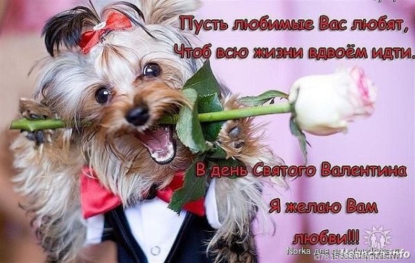 с днём всех влюблённых