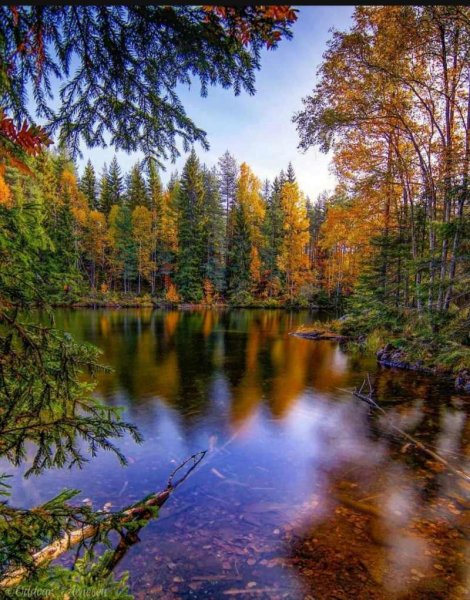 Красота осени