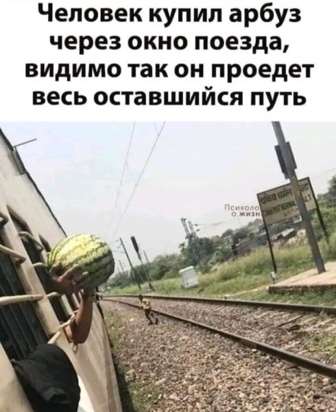 file_103321445