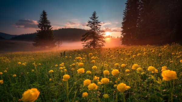 file_94534950