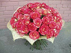 file_85269006