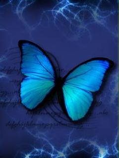 abstractbl butterfly