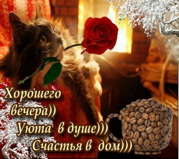 file_95060735