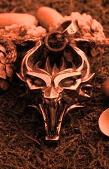 Firehost Ведьмак. Потерянный сын. Книга 2