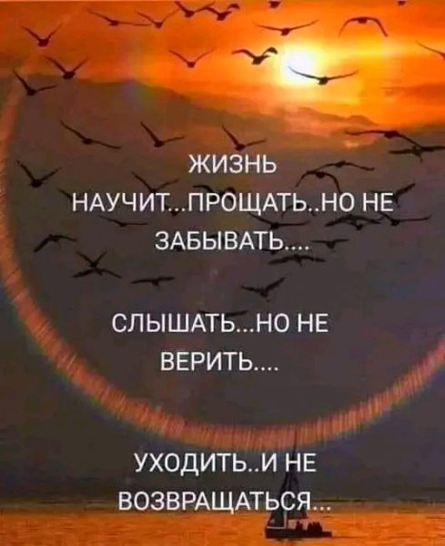 file_93597018