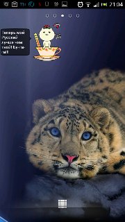 BathingCat.3.1.0 rus