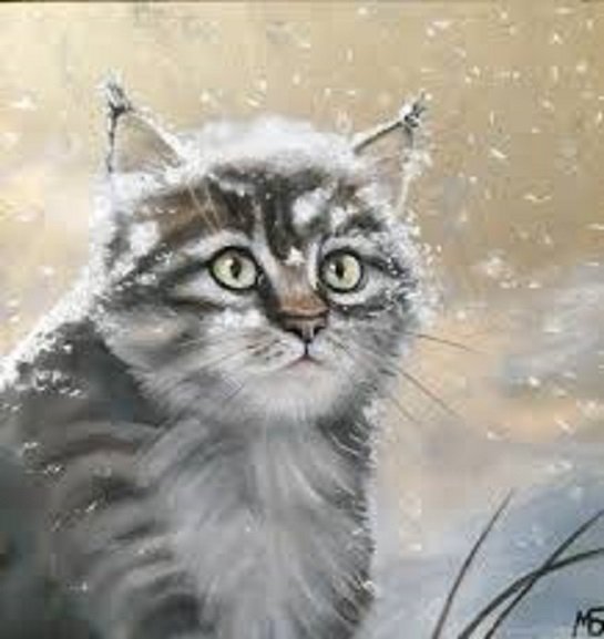 Кот и снег (4)