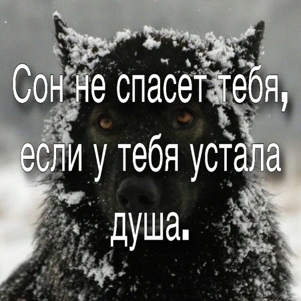 Сон