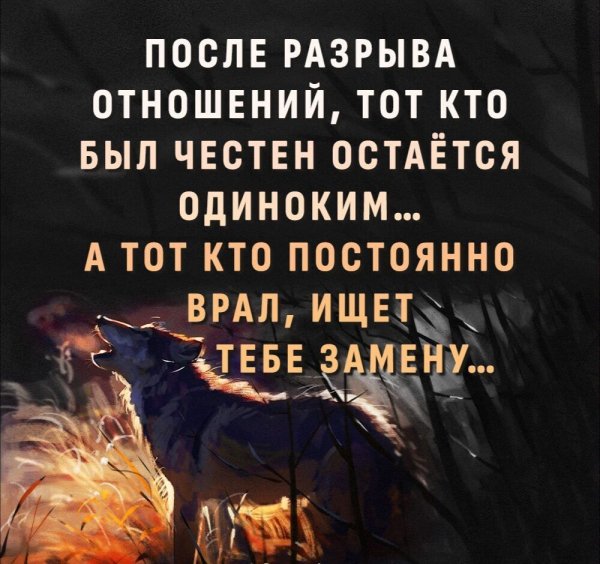 IMG 20250128 183349