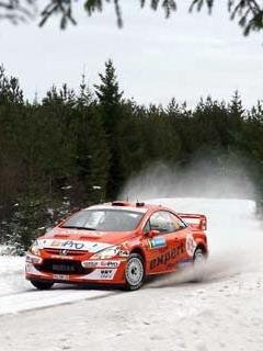 Sport avto