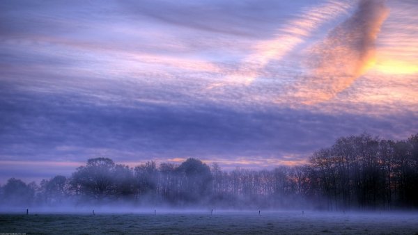 file_79284564