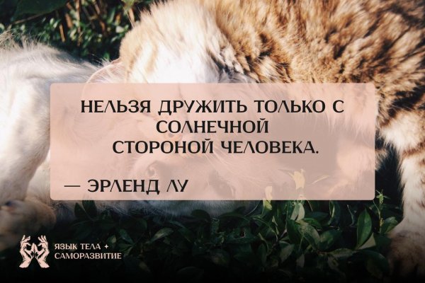 Photo 2392@02-09-2025 15-00-26