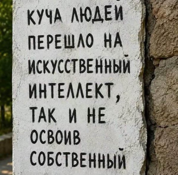 FB IMG 1785340182720