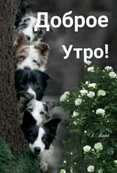 Dobroe utro